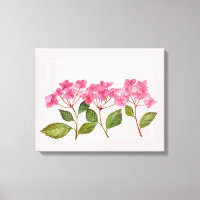 Aquarellpinke Hydrangea Lacecaps Illustration