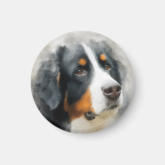 Aquarellporträt Berner Sennenhund Magnet