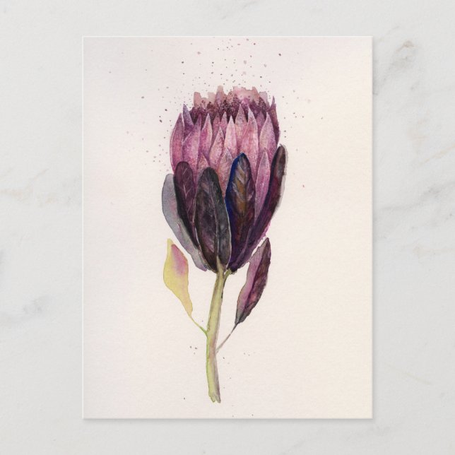 AquarellProtea Postkarte (Vorderseite)