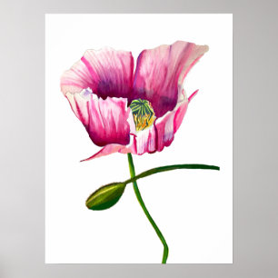 Aquarellrosa Mohn hübsche Blume Poster