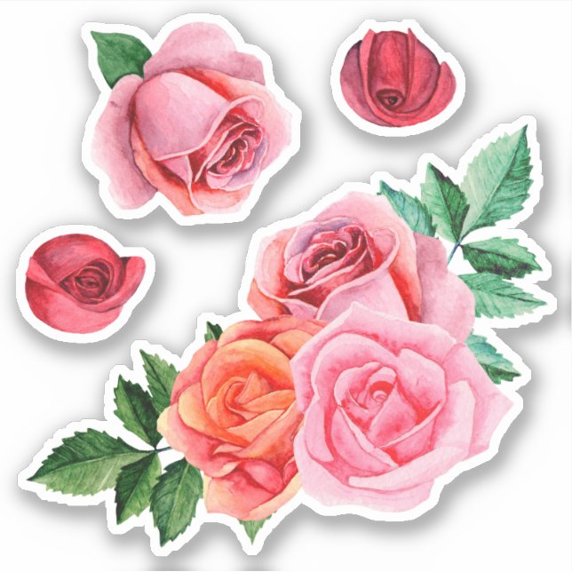 Aquarellrosa Rosen. Garten Blume. botanisch Aufkleber (Vorderseite)
