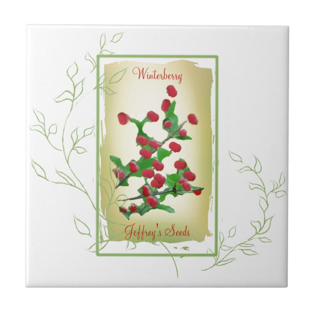 Aquarellsaatpaket Winterberry Fliese (Vorderseite)