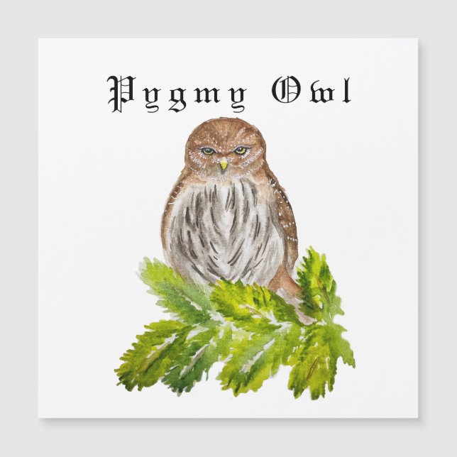 Aquarellsäge Niedliche kleine Eichen Magnetkarte (Vorderseite)