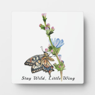 Aquarellschmetterling auf einer Zichorienmauer Fotoplatte