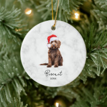 Aquarellschokolade Braun Goldendoodle