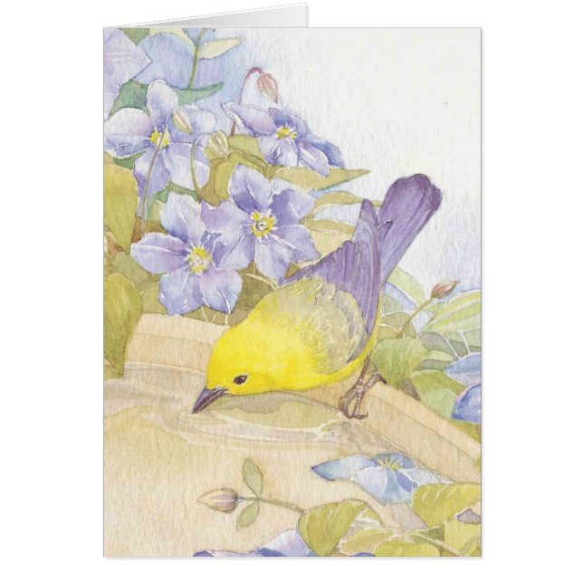 Aquarellvögel (Vorne)