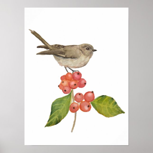 Aquarellvögel "Sylvia curruca" Poster (Vorne)