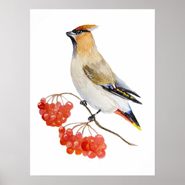 Aquarellwaldvogel wächst poster (Vorne)