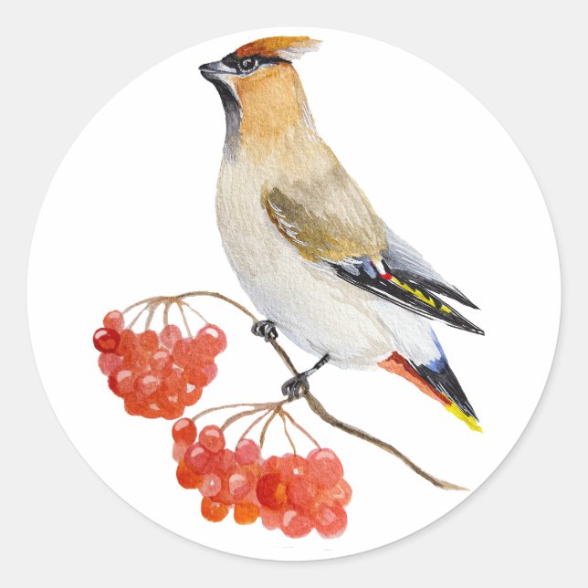 Aquarellwaldvogel wächst runder aufkleber (Vorderseite)