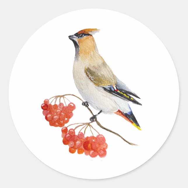 Aquarellwaldvogel wächst runder aufkleber (Vorderseite)
