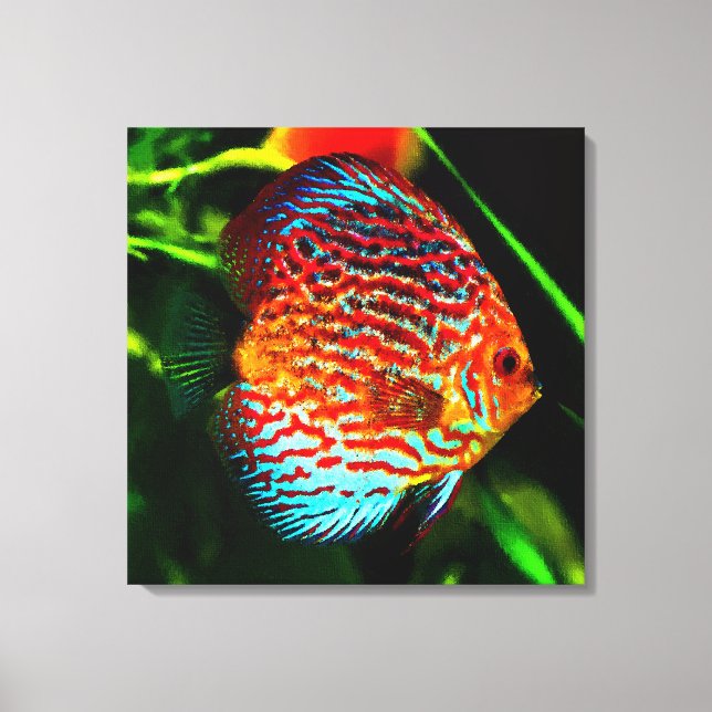Aquarienfisch-Leinwand Leinwanddruck (Vorderseite)