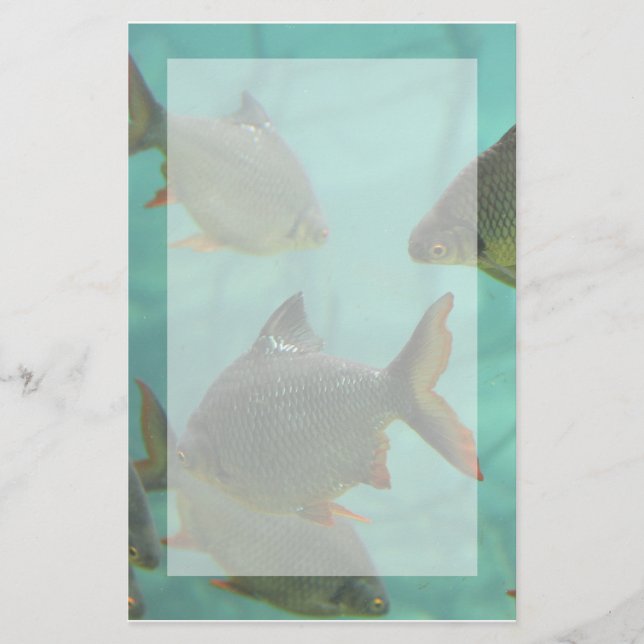Aquarium-Art stationär Briefpapier (Vorderseite)