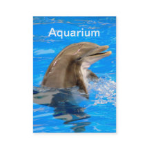 Aquarium Carte de visite avec dauphin