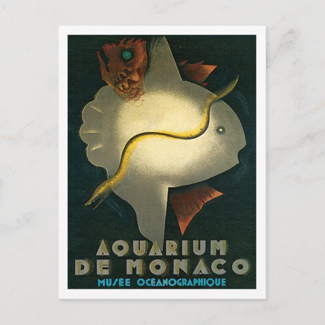 Aquarium De Monaco Museo Cantonale d'Arte Postkarte (Vorderseite)