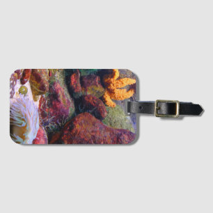 Aquarium Gepäckanhänger