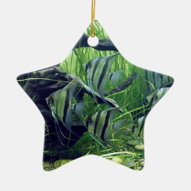 Aquarium-gestreifte Fische Keramik Ornament (Vorne)