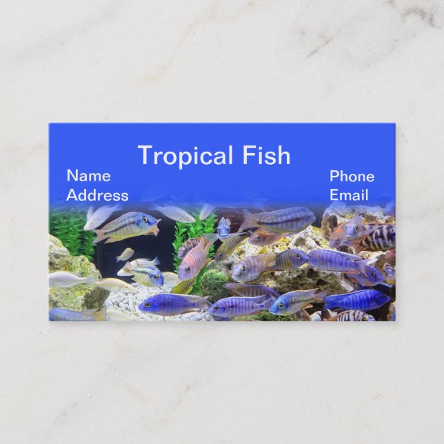 Aquarium mit schönen bunten tropischen Fischen Visitenkarte (Vorderseite)