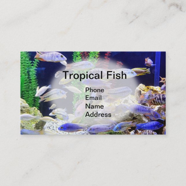 Aquarium mit schönen tropischen Fischen Visitenkarte (Vorderseite)