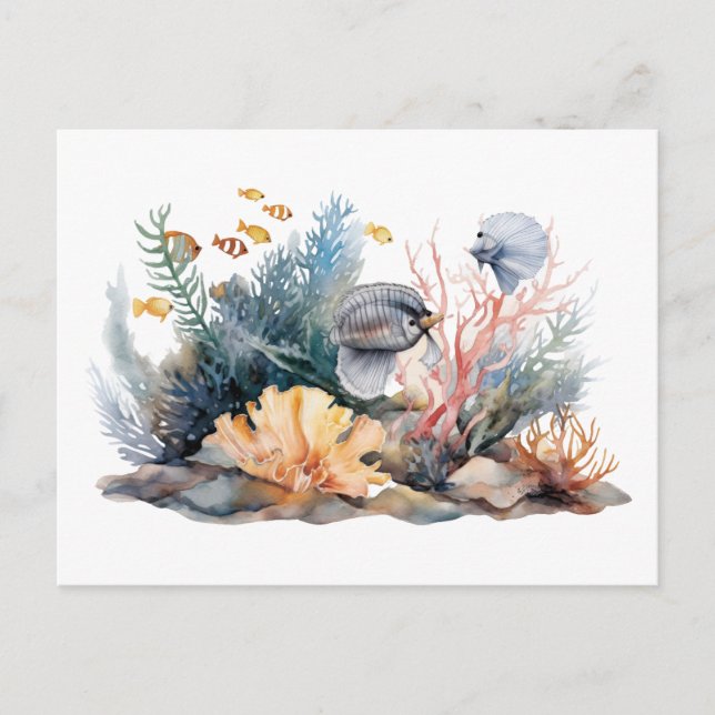 Aquarium Postkarte (Vorderseite)
