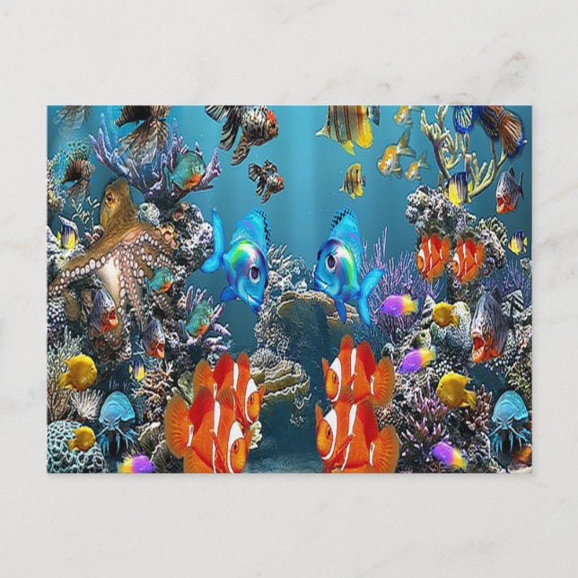 Aquarium Postkarte (Vorderseite)