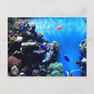 Aquarium Postkarte