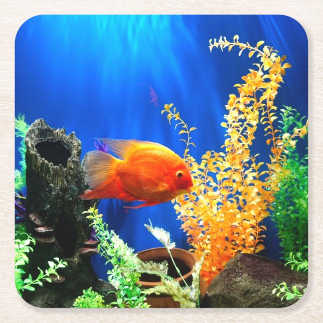 Aquarium Rechteckiger Pappuntersetzer (Vorderseite)