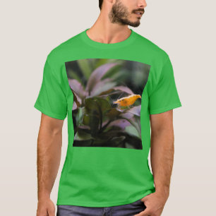 Aquarium Shrimp T-Shirt