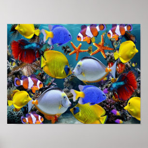 Aquarium-Tropenfisch-Fischerei Poster