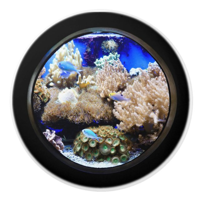 Aquarium Tropischer Fisch und Korallen Keramikknauf (Vorderseite)