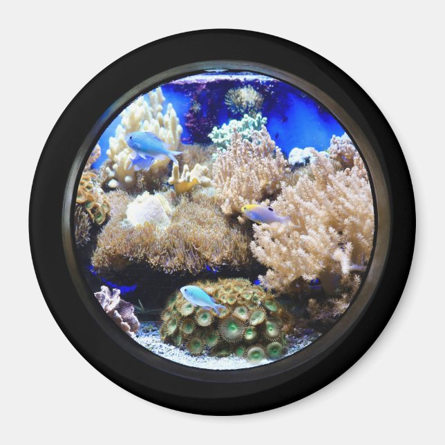 Aquarium Tropischer Fisch und Korallen Magnet (Vorne)