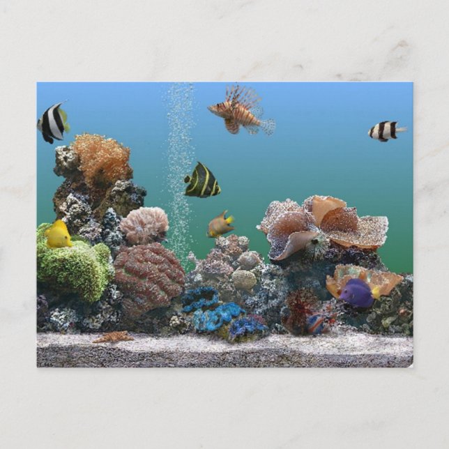 Aquarium-uAwg Einladungspostkarte (Vorderseite)