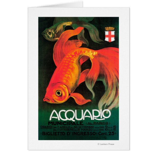 Aquarium und Stadtpark (Vorne)