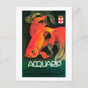 Aquarium und Stadtpark Postkarte