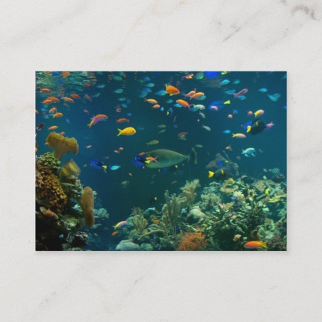 Aquarium-Visitenkarte-Schablone Visitenkarte (Vorderseite)