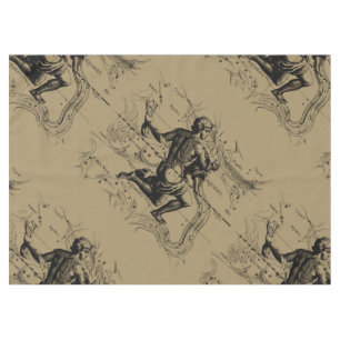 Aquarius Constellation Hevelius 1690 Jan 20 Feb 18 Tischdecke