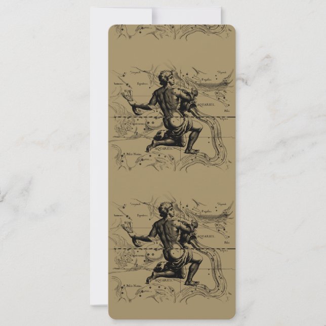 Aquarius Constellation Map Hevelius 1690 auf Taupe (Vorderseite)