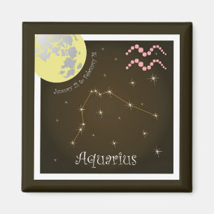 Aquarius January 21 to February 18 Magnet