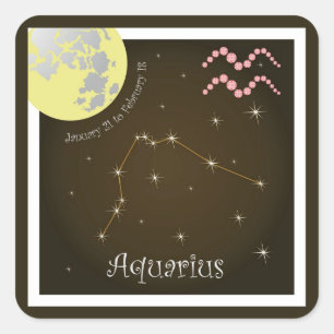 Aquarius January 21 to Février 18 Autocollants