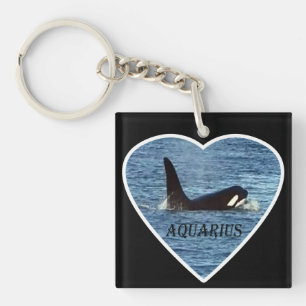 Aquarius Orca Côte Ouest Communauté Personnalisée