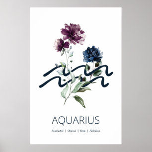 Aquarius Poster