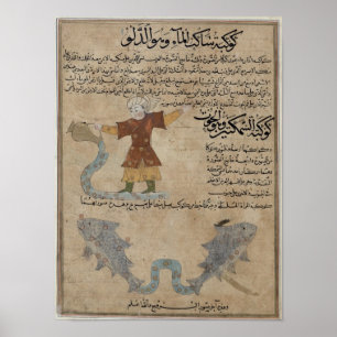 Aquarius und Fische Poster