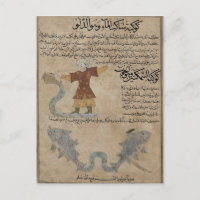 Aquarius und Fische