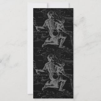 Aquarius Zodiac Constellation Hevelius 1690