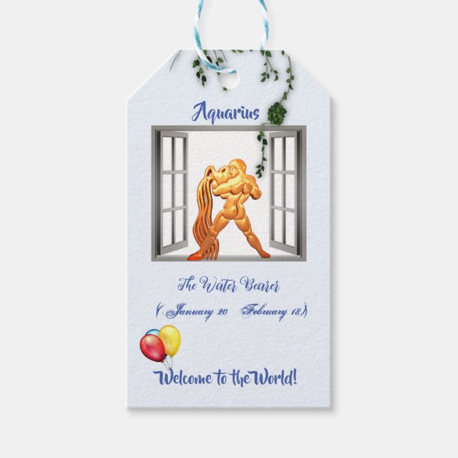 AquariusBaby 'New Baby' Geschenkanhänger (Vorderseite)
