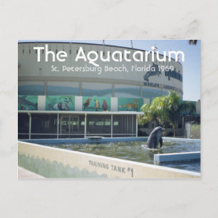 Aquatarium St Pete Beach Floride Carte postale