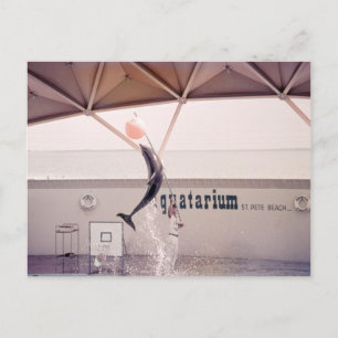 Aquatarium St Pete Beach Floride Carte postale