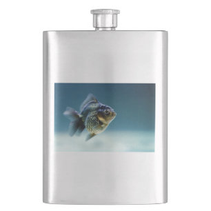 Aquatic Fish Carassius Flachmann