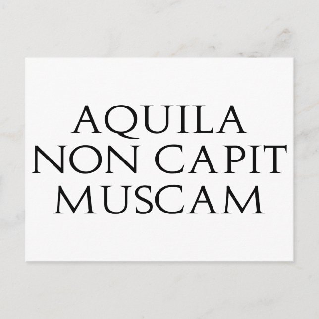 Aquila Non Capit Muscam Postkarte (Vorderseite)