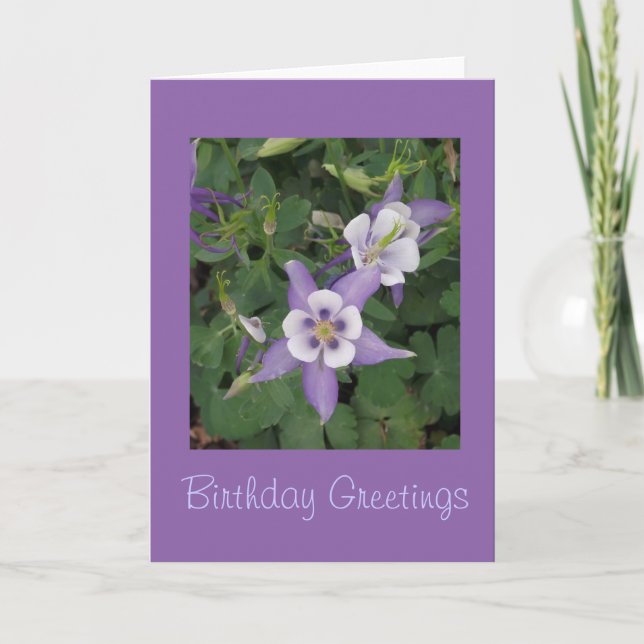 Aquilegia - Blume Columbine Birthday Card Karte (Vorderseite)
