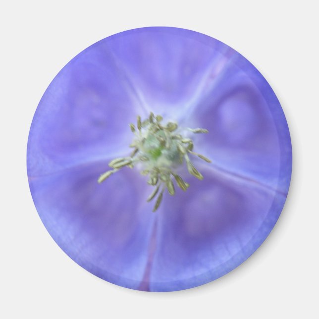 Aquilegia Blume Magnet (Vorne)